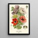 Reproductie van het schilderij Anémone Coquelicot - Edward Step