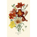 Salpiglossis Sinuata - Edward Step — weergave van het kunstwerk