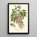 Reproductie van het schilderij Glycine de Chine - Edward Step