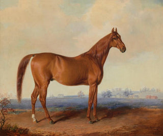 Edward Troye - American Eclipse in a Landscape.webp