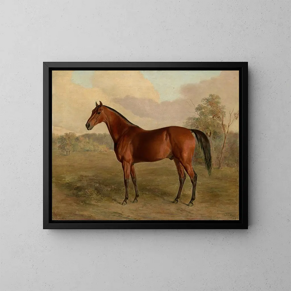 Pic du Kentucky - Edward Troye — ingelijst kunstwerk aan de muur