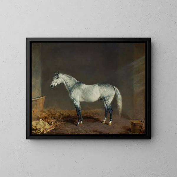 Een grijze racepaard in een stallen - Edward Troye — ingelijst kunstwerk aan de muur