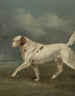 A spaniel in a landscape - Edwin Cooper — artwork view