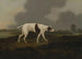 On the track - Edwin Cooper — artwork view