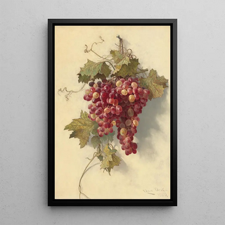 Edwin Deakin - Grapes Against White Wall.webp