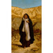 L'Esprit verloren - Elihu Vedder — weergave van het kunstwerk