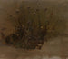 Wilde bloemen - Elihu Vedder — weergave van het kunstwerk