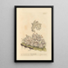 Hepatic painting in ash gray - Elizabeth Blackwell — framed artwork on a wall