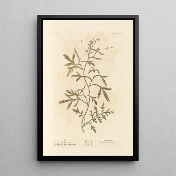 Cresson - Elizabeth Blackwell — ingelijst kunstwerk aan de muur