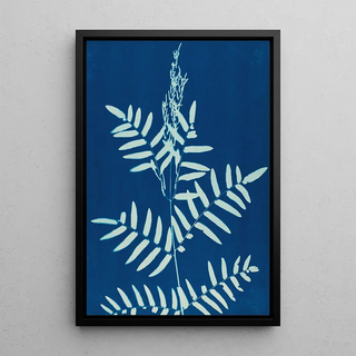 Ella J C Hurd - Ferns of Huntington Long Island Pl31.webp