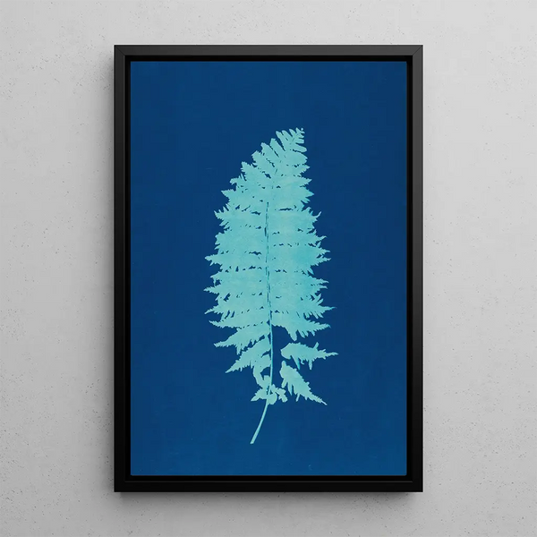Ella J C Hurd - Ferns of Huntington Long Island Pl37.webp