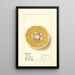 Citrus paradisi Royal - Ellen Isham Schutt — ingelijst kunstwerk aan de muur