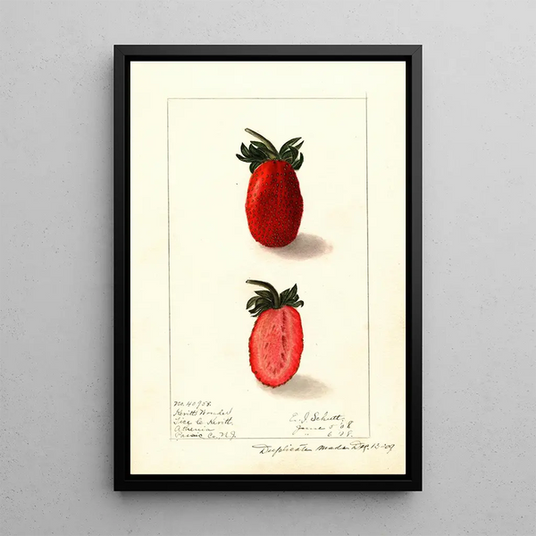 Fragaria Kevitts Wonder - Ellen Isham Schutt — ingelijst kunstwerk aan de muur