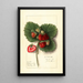 Fragaria Shipping King - Ellen Isham Schutt — ingelijst kunstwerk aan de muur