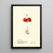 Malus Cherry Crab - Ellen Isham Schutt — ingelijst kunstwerk aan de muur