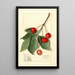 Prunus avium Govenor Wood - Ellen Isham Schutt — ingelijst kunstwerk aan de muur
