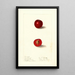 Prunus domestica Free Silver - Ellen Isham Schutt — ingelijst kunstwerk aan de muur