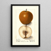 Pyrus communis Magnolia - Ellen Isham Schutt — ingelijst kunstwerk aan de muur
