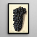 Vitis Campbells Early - Ellen Isham Schutt — ingelijst kunstwerk aan de muur