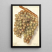 Vitis Hycales - Ellen Isham Schutt — ingelijst kunstwerk aan de muur