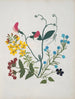 Paper-cut flower album painting pl. 01 - Ellen W. — artwork view