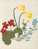 Wandschilderij Album de fleurs en papier découpé pl. 05 - Ellen W. — weergave van het kunstwerk