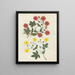 Paper-cut flower album painting pl. 08 - Ellen W. — framed artwork on a wall