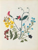 Paper Cut Flowers Album Painting pl. 09 - Ellen W. — artwork view