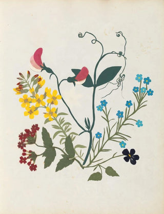 Ellen W - Album of cutpaper flowers Pl09.webp