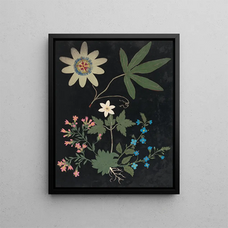 Ellen W - Album of cutpaper flowers Pl10.webp