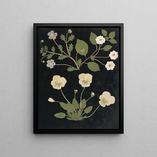 Ellen W - Album of cutpaper flowers Pl11.webp