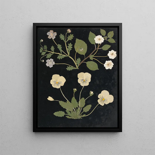 Ellen W - Album of cutpaper flowers Pl11.webp