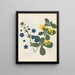 van een bloemenalbum in papier gesneden pl. 12 - Ellen W. — ingelijst kunstwerk aan de muur