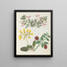 Album de bloemen in papier gesneden pl. 13 - Ellen W. | Reproduction — ingelijst kunstwerk aan de muur