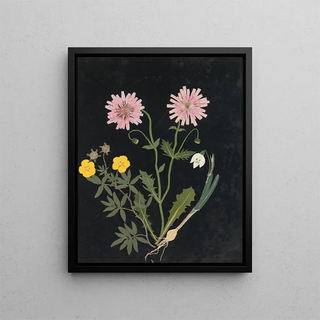 Ellen W - Album of cutpaper flowers Pl14.webp