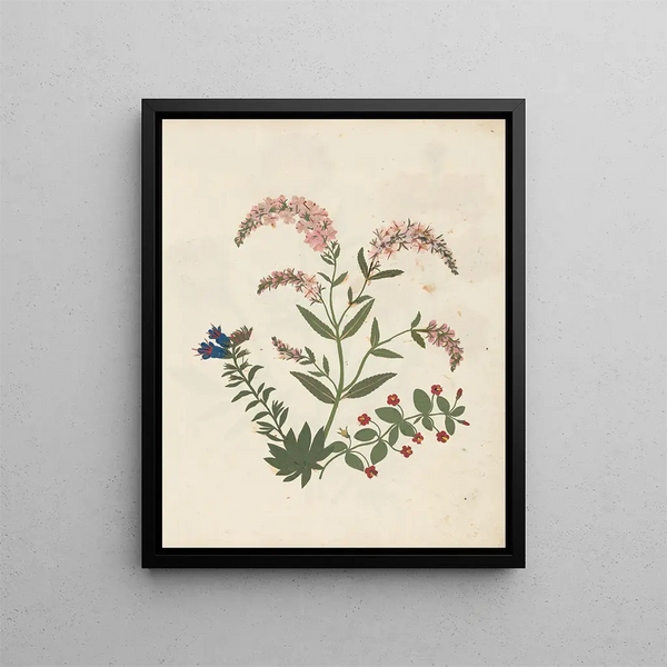 Ellen W - Album of cutpaper flowers Pl16.webp