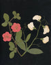 W: Kunstdruk van een bloemenalbum in papier gesneden Pl19 - Ellen W. — weergave van het kunstwerk