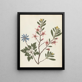 Ellen W - Album of cutpaper flowers Pl20.webp