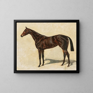 Emil Adam - A Dark Brown Thoroughbred Mare.webp