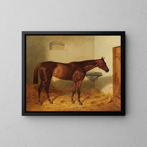 La jument Kincsem - Emil Adam — ingelijst kunstwerk aan de muur