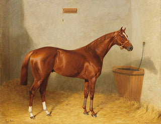 Emil Adam - Lord Bobs im Stall.webp