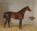 Saint Galmier - Emil Adam — weergave van het kunstwerk