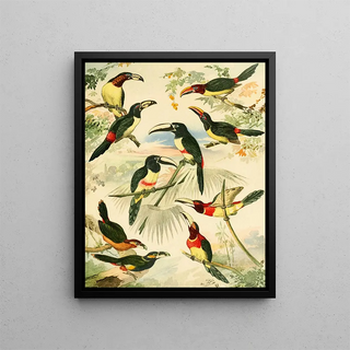 Emil August Gldi - Araarys.webp