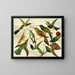 Paradijsvogels - Emil August Göldi — ingelijst kunstwerk aan de muur