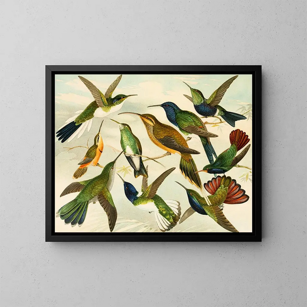 Paradijsvogels - Emil August Göldi — ingelijst kunstwerk aan de muur