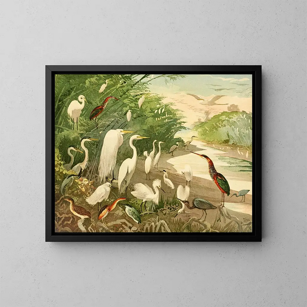 Garas - Emil August Göldi — ingelijst kunstwerk aan de muur