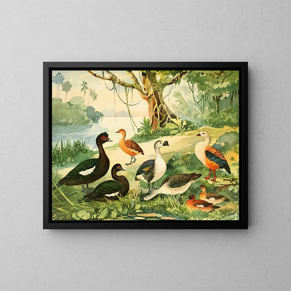 Eenden en ganzen - Emil August Göldi — ingelijst kunstwerk aan de muur