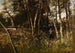 Près du Heustadelwasser, Vienne - Emil Jakob Schindler — artwork view