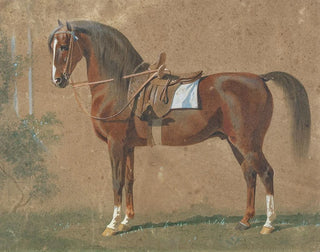 Emil Volkers - Gesattelter Hengst.webp