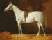 Paard met zadel in de stallen - Emil Volkers — weergave van het kunstwerk